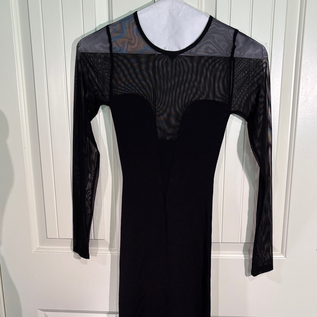 Zara Elegant Black Mesh Long Sleeve Dress